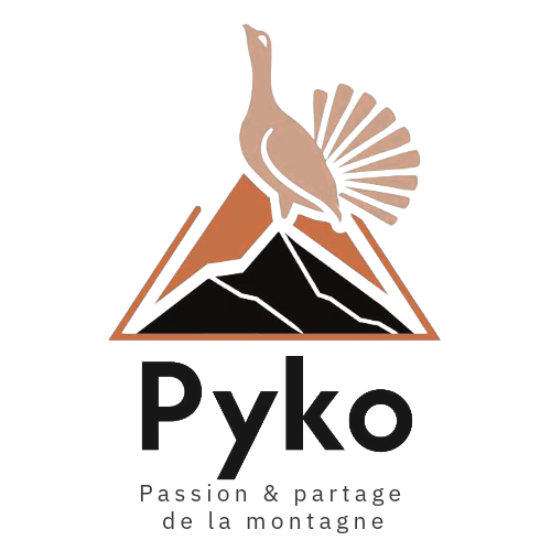 Pyko
