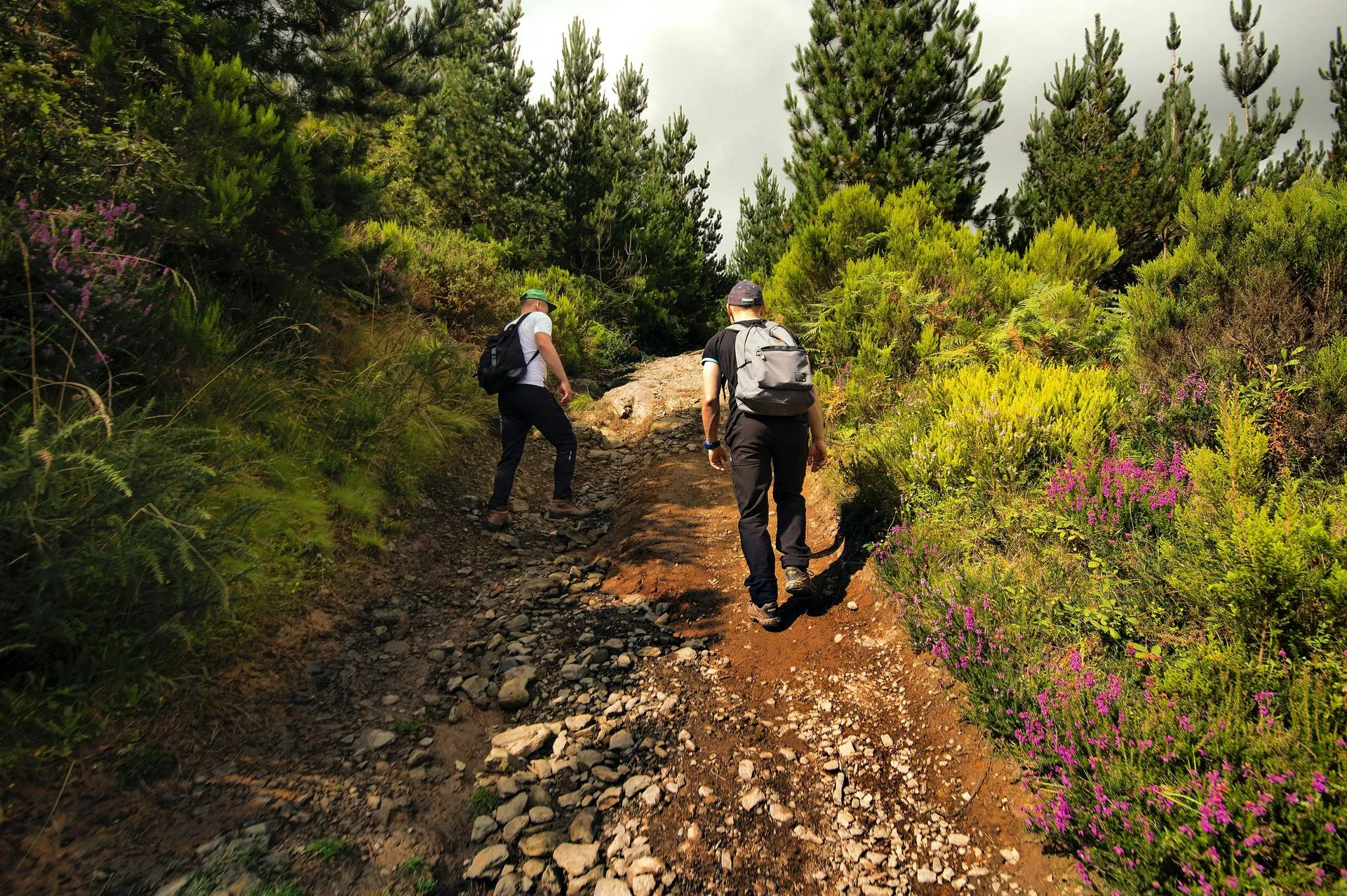 Respirer le Pays basque - Rando & Yoga 2