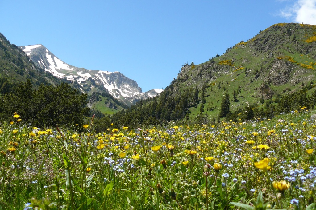 Vers l'autonomie en Ariège... 7